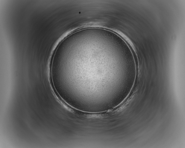 X0000116481341200912161244