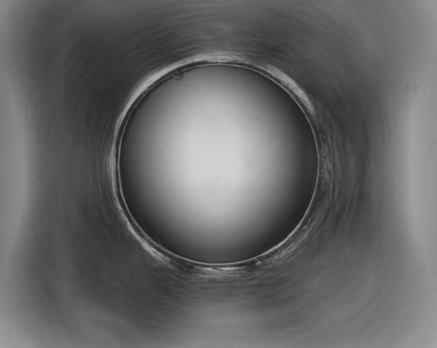 X0000116481343200912161244