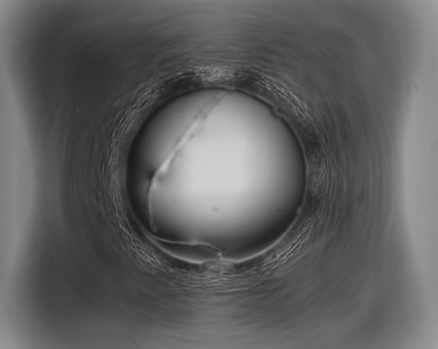 X0000116481345200912161244