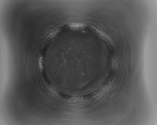 X0000116481346200912161244