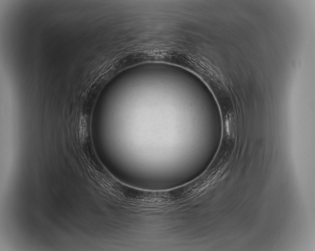 X0000116481347200912161244