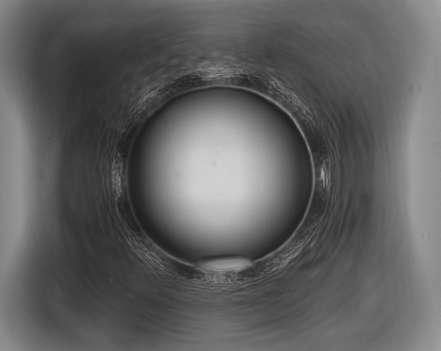 X0000116481348200912161244