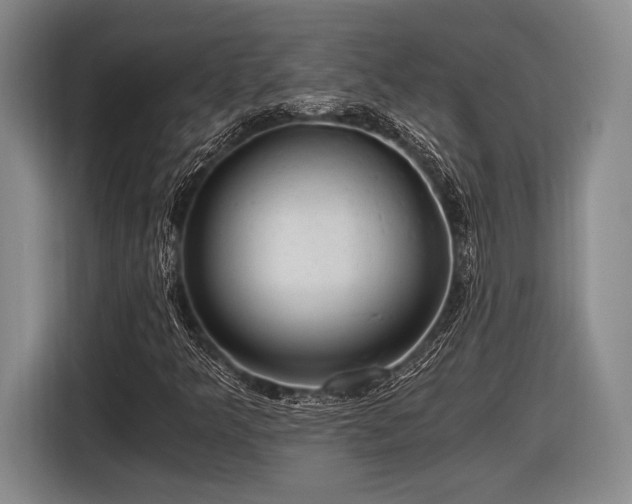 X0000116481349200912161244