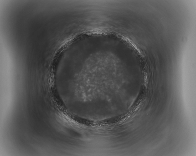 X0000116481350200912161244