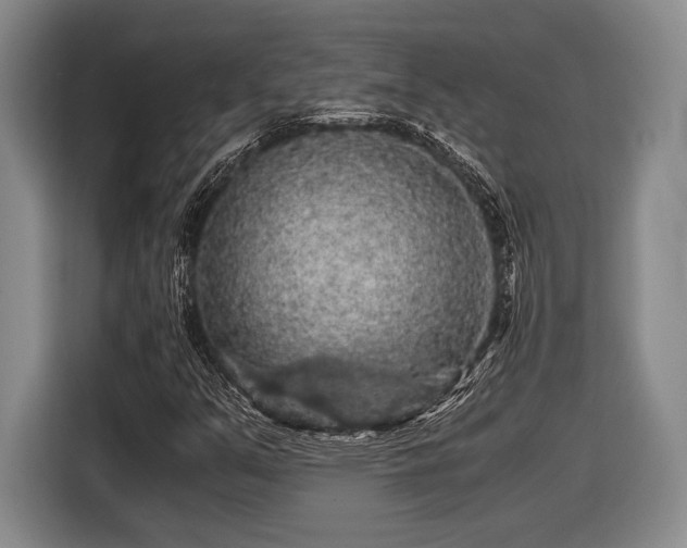 X0000116481351200912161244