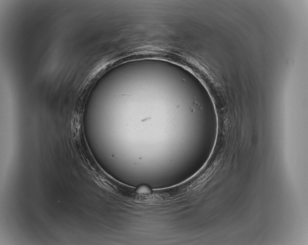 X0000116481355200912161244