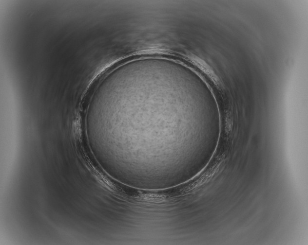 X0000116481356200912161244