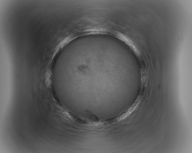 X0000116481357200912161244