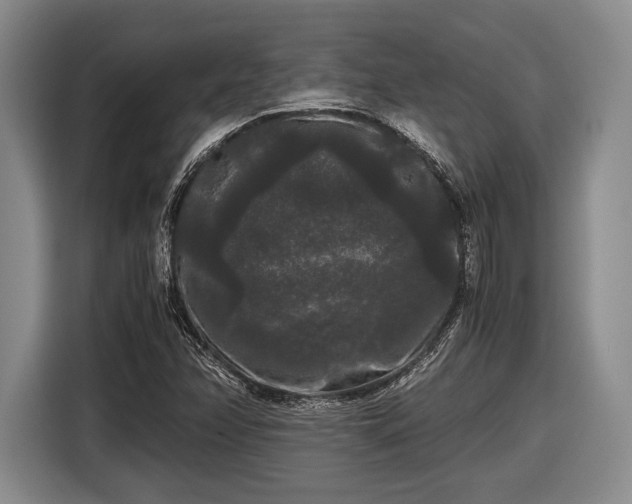 X0000116481358200912161244