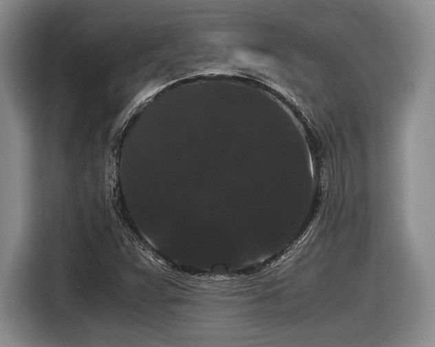 X0000116481359200912161244