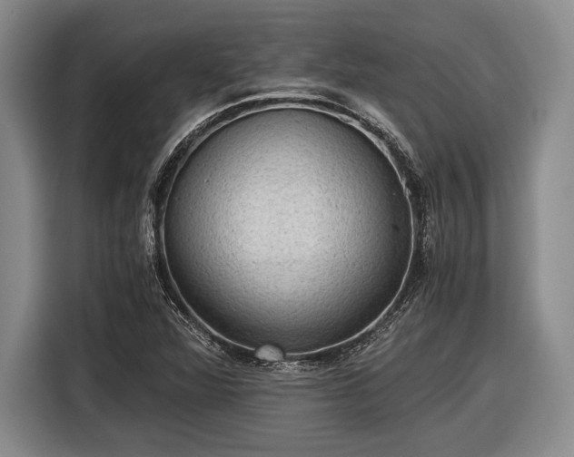 X0000116481360200912161244