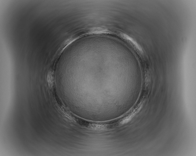 X0000116481361200912161244