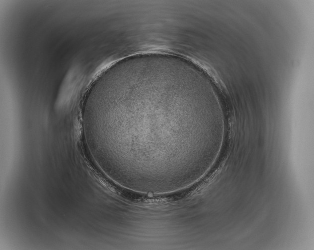 X0000116481363200912161244