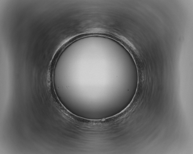 X0000116481364200912161244