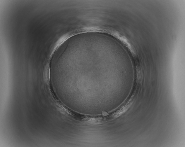 X0000116481365200912161244