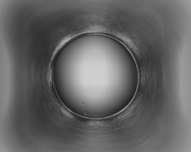 X0000116481366200912161244