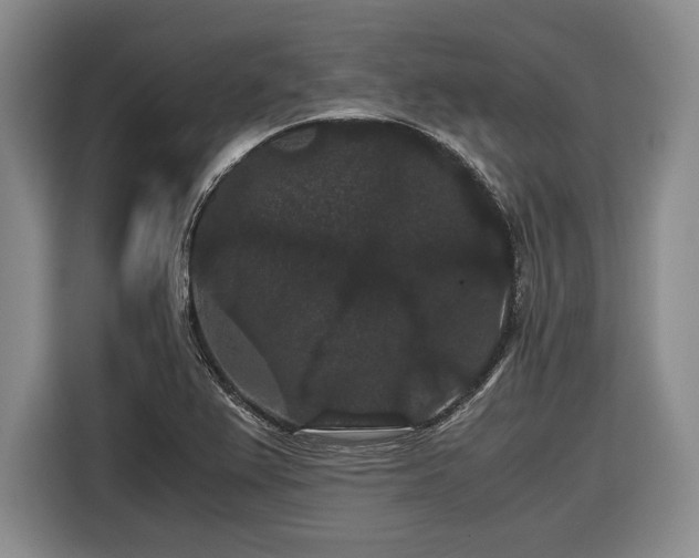 X0000116481367200912161244