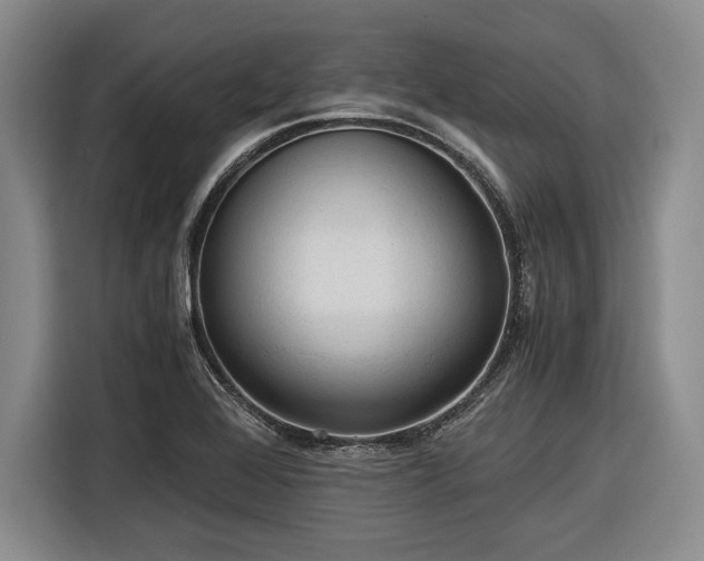 X0000116481368200912161244