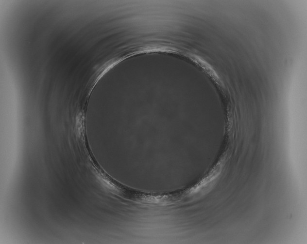 X0000116481369200912161244