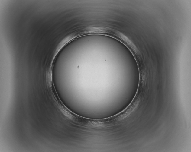 X0000116481370200912161244