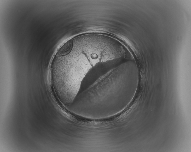 X0000116481371200912161244