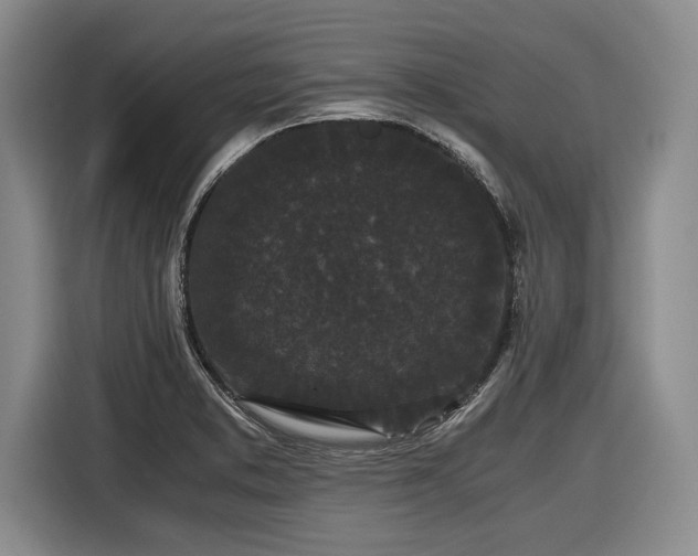 X0000116481373200912161243