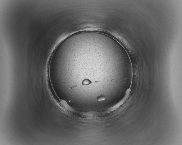 X0000116481375200912161243