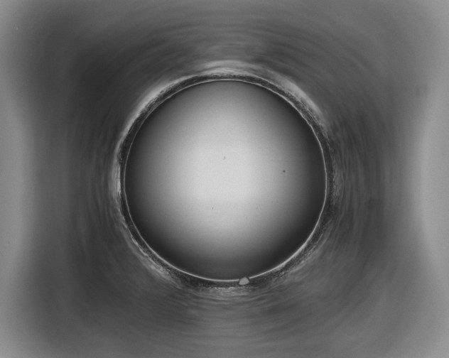 X0000116481376200912161243