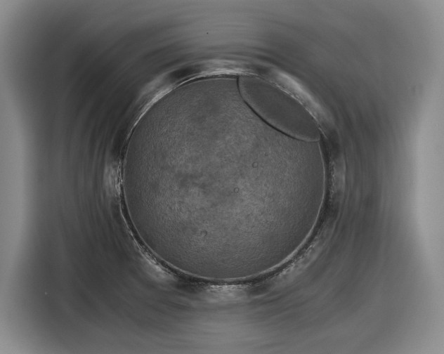 X0000116481377200912161243