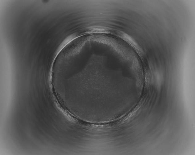 X0000116481378200912161243