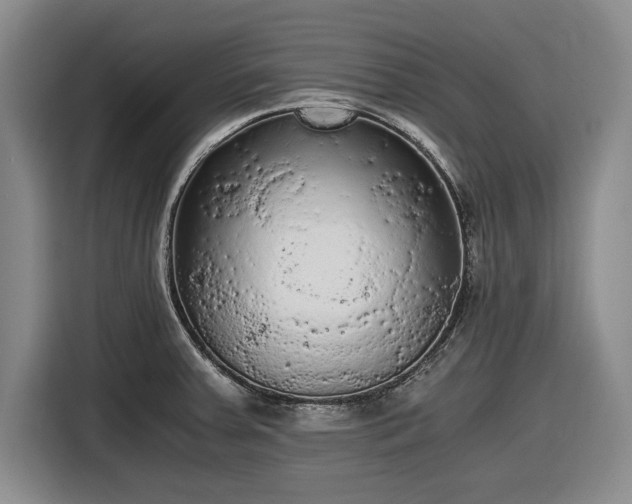 X0000116481379200912161243