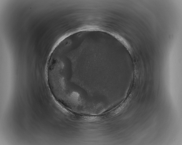 X0000116481382200912161243