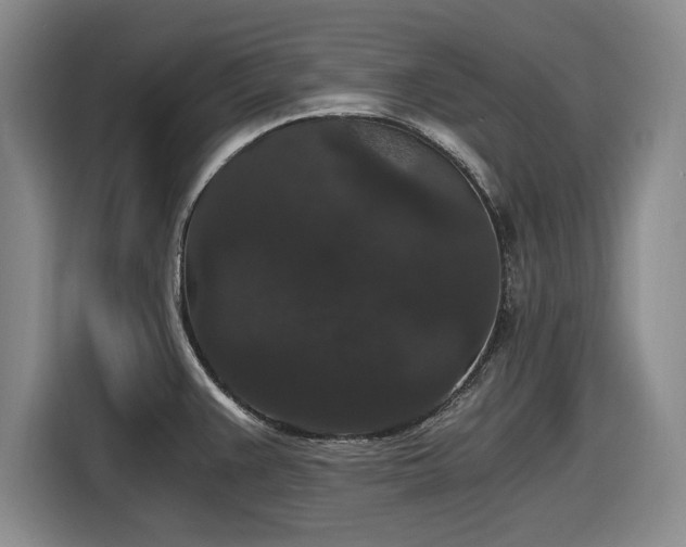 X0000116481383200912161243