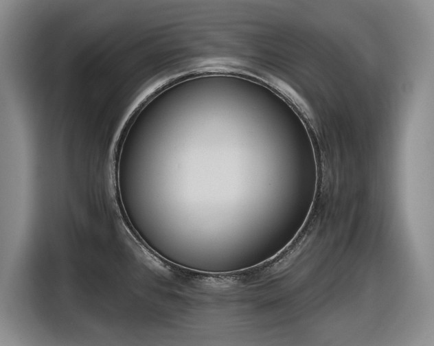 X0000116481384200912161243