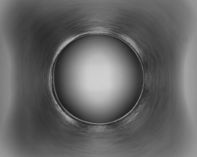 X0000116481387200912161243