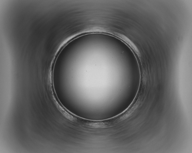 X0000116481388200912161243