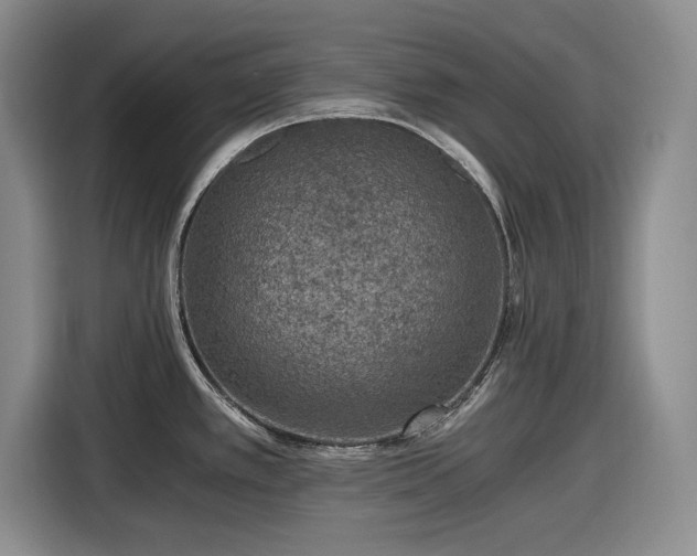 X0000116481389200912161243