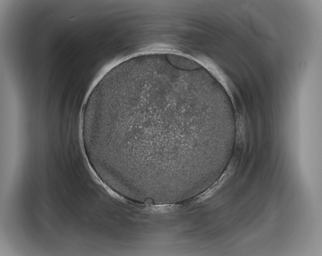 X0000116481390200912161243