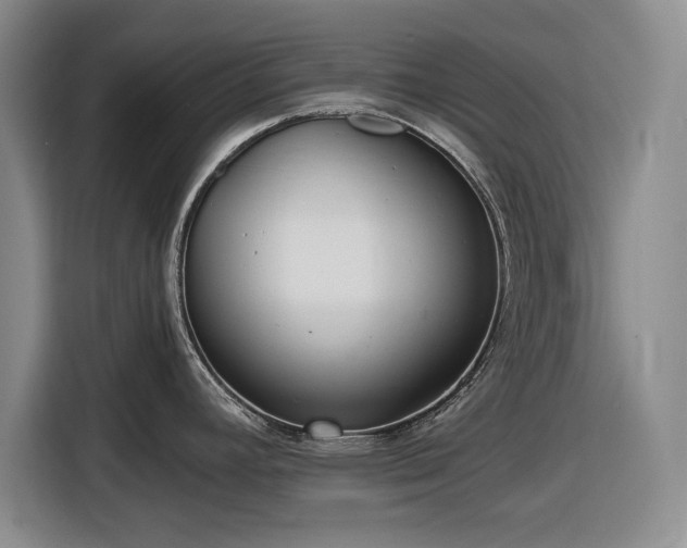 X0000116481392200912161243