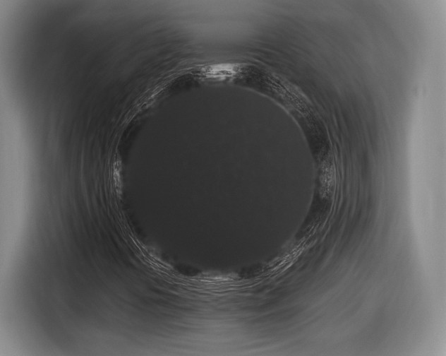 X0000116481394200912161243