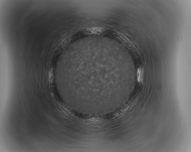 X0000116481395200912161243