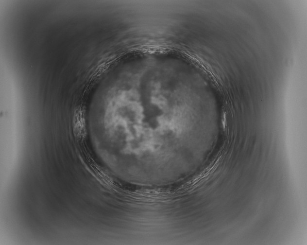 X0000116481396200912161243