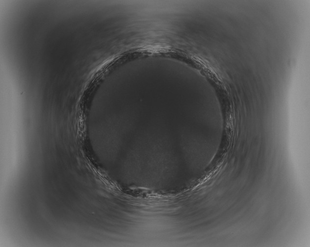 X0000116481398200912161243