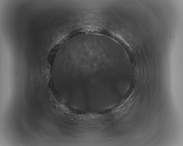 X0000116481399200912161243