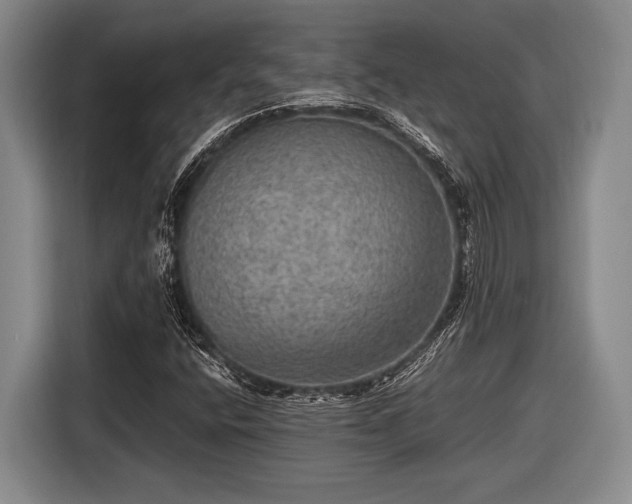 X0000116481400200912161243