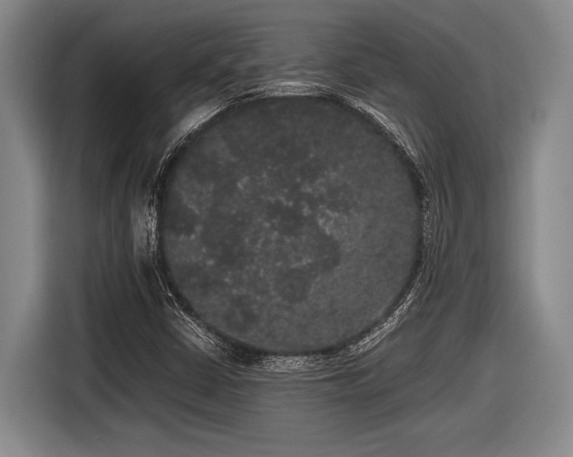 X0000116481402200912161243