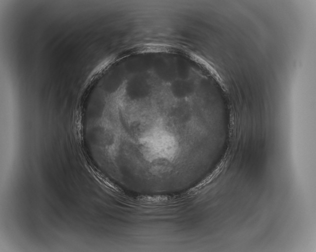 X0000116481403200912161243