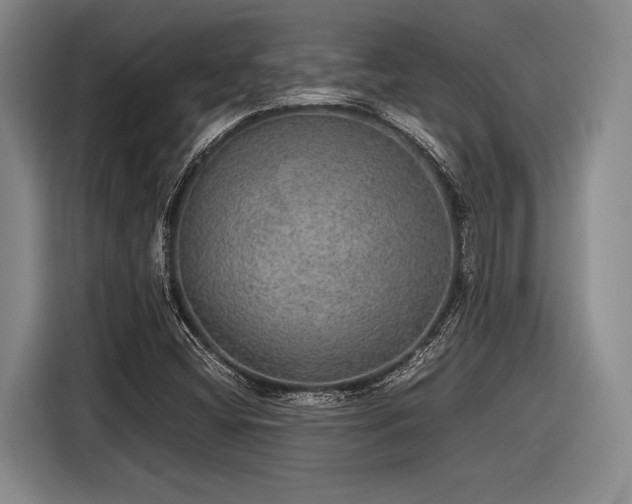 X0000116481404200912161243