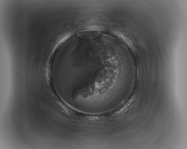 X0000116481405200912161243