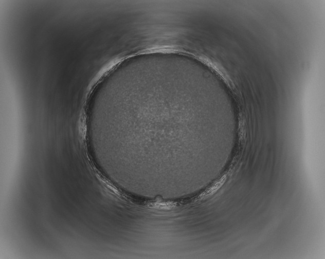 X0000116481406200912161243